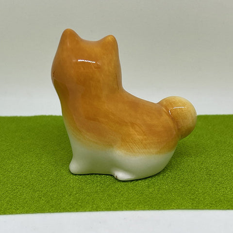 Mini Shiba dog 3