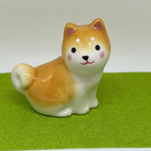 Mini Shiba dog 3