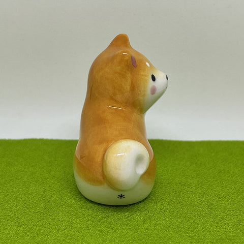 Mini Shiba dog 3