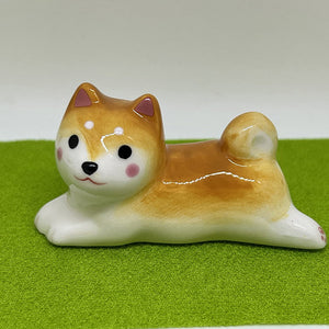 Mini Shiba dog 2