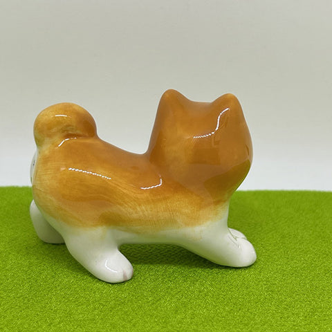 Mini Shiba dog1