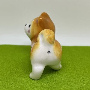 Mini Shiba dog1