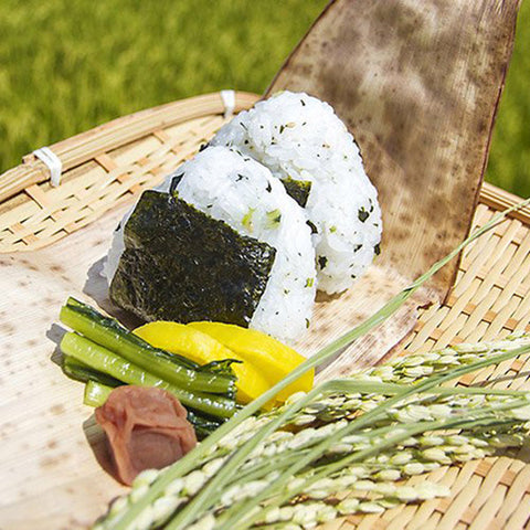JA Akitakomachi Rinse free Rice 10kg