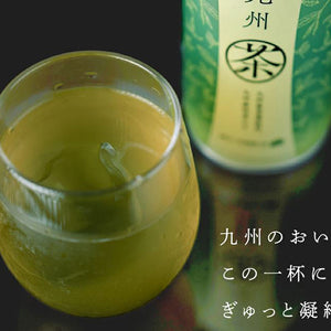 JA Foods Kyushu Green Tea 490ml