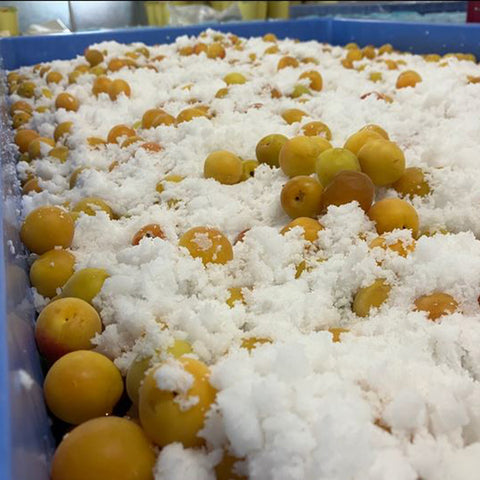 Yuasa Organic Umeboshi Sauce 200g