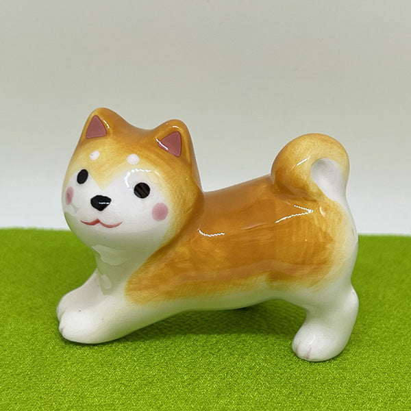 Mini Shiba dog1