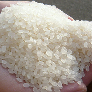 JA Akitakomachi Rinse free Rice 2kg